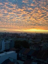The Florence Residences (D19), Apartment #637560281